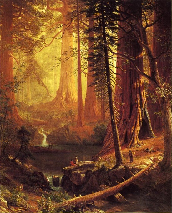 Elsirin takaisen erämaan jättiläismetsää. Giant Redwood Trees of California, Albert Bierstadt (1874). 